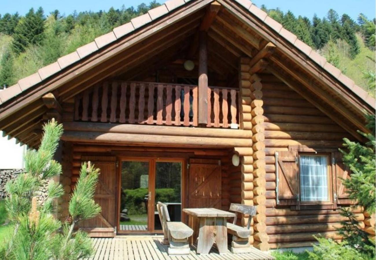 L'Ours Noir Chalet En Rondins La Bresse Dış mekan fotoğraf