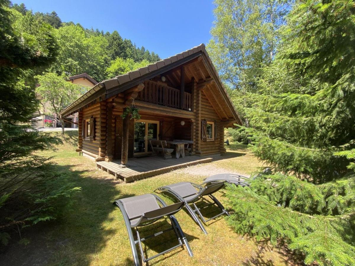 L'Ours Noir Chalet En Rondins La Bresse Dış mekan fotoğraf