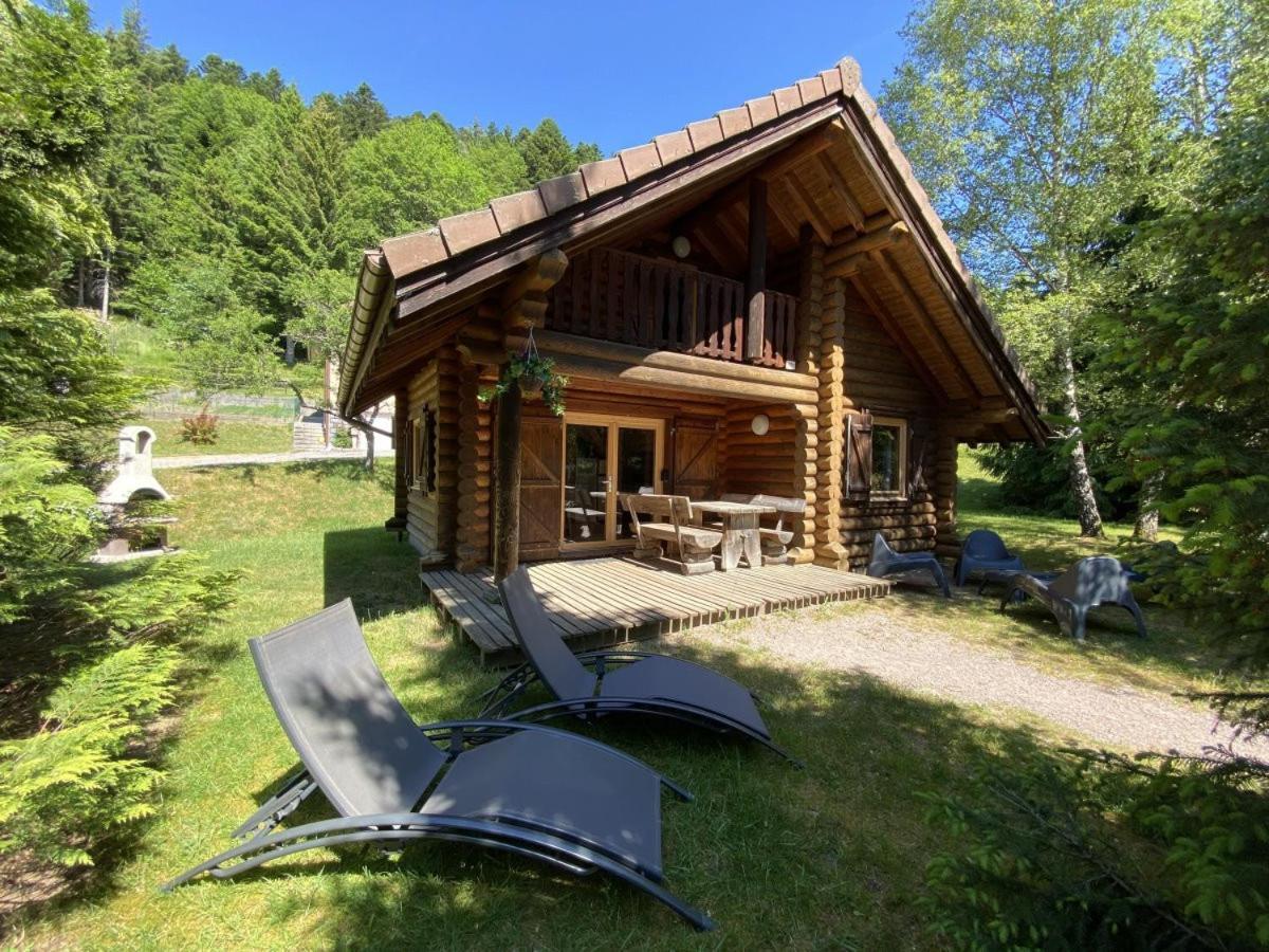 L'Ours Noir Chalet En Rondins La Bresse Dış mekan fotoğraf